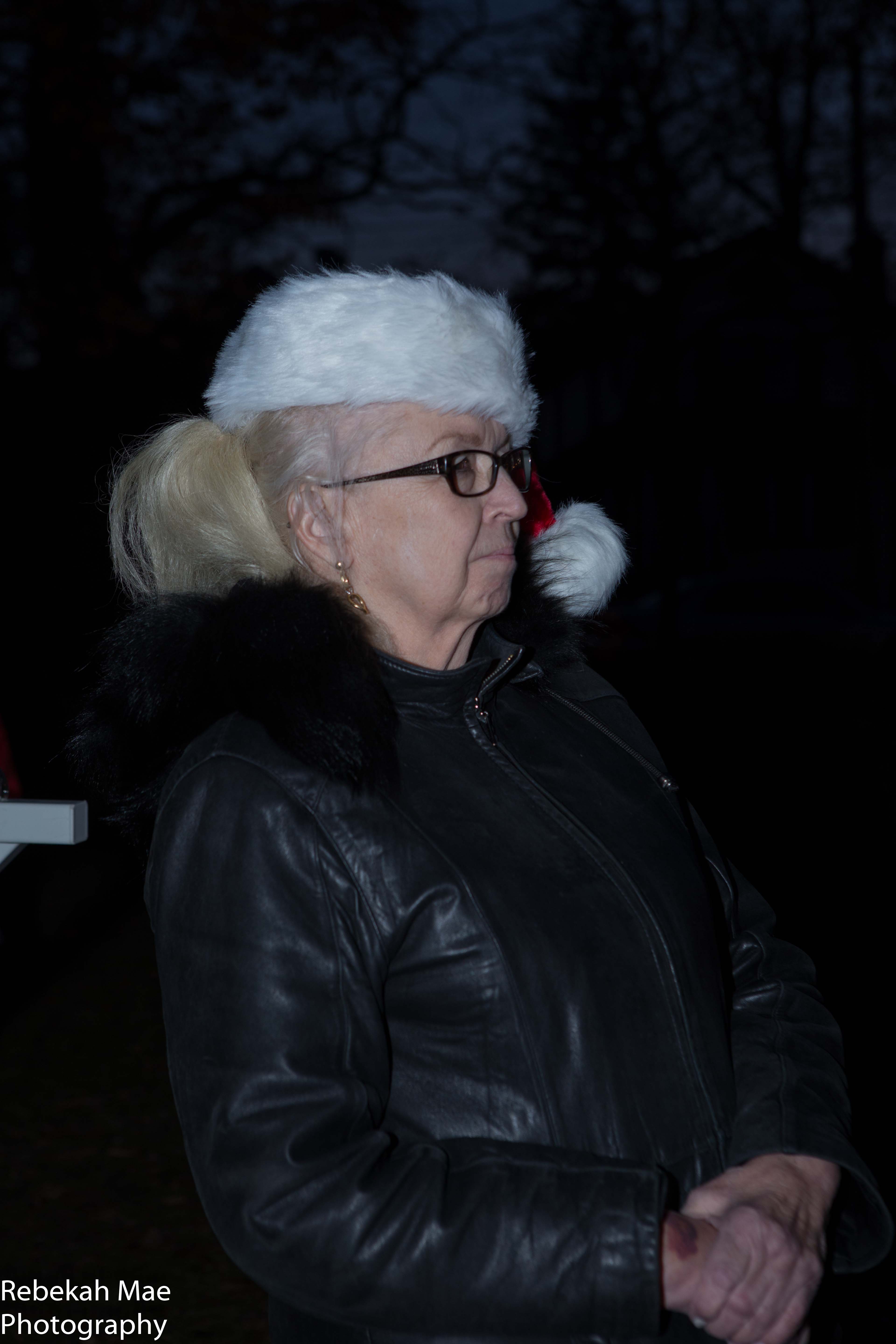 7th Annual Holiday Celebration and Tree Lighting 2015 Bowne Park Civic Association-0379